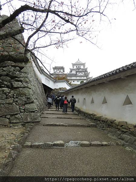 IMG_1933.JPG IMG_1933.JPG