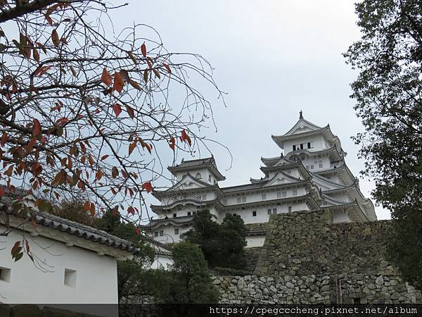 IMG_1920.JPG IMG_1920.JPG