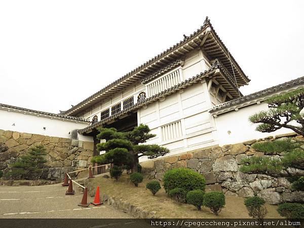 IMG_1912.JPG IMG_1912.JPG