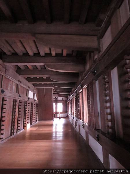 IMG_1981.JPG IMG_1981.JPG