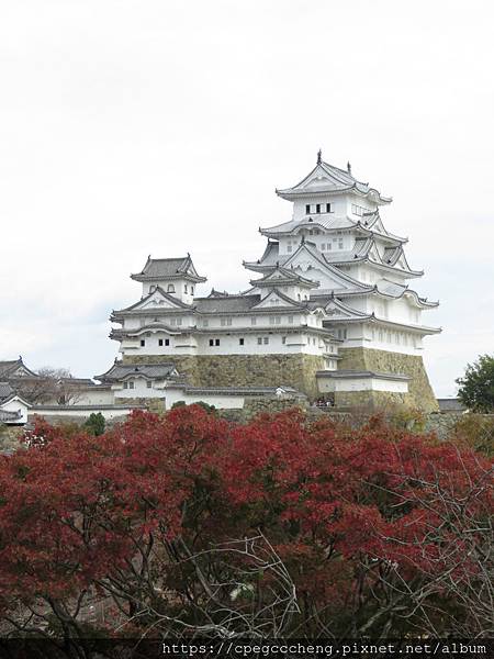 IMG_2045.JPG IMG_2045.JPG