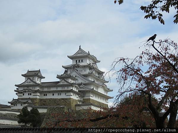 IMG_2055.JPG IMG_2055.JPG