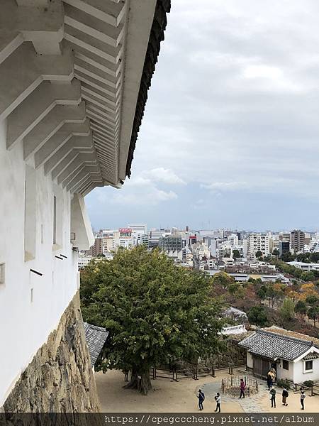 IMG_6614.JPG IMG_6614.JPG