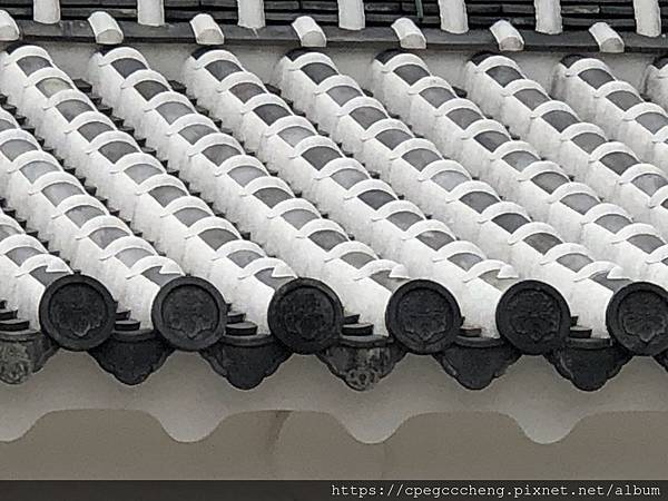 IMG_6626.JPG IMG_6626.JPG