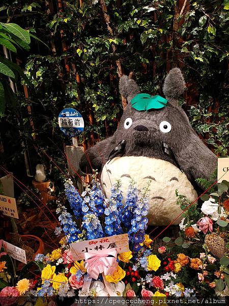 IMG_20181119_225158.jpg IMG_20181119_225158.jpg