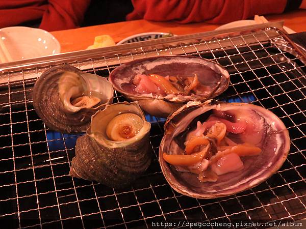 IMG_2913.JPG IMG_2913.JPG