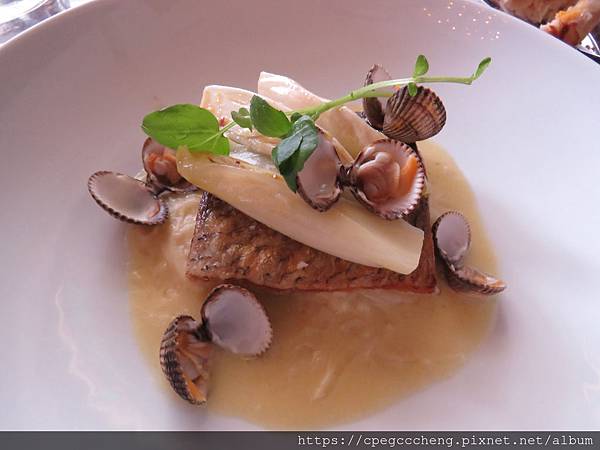 IMG_3984.JPG IMG_3984.JPG