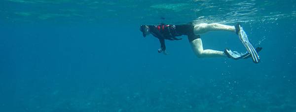 DSC03761.jpg DSC03761.jpg