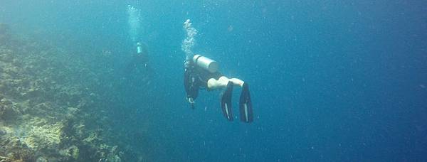 GOPR4918.jpg GOPR4918.jpg