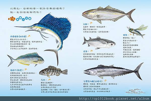 印刷-魚市場內頁n11 印刷-魚市場內頁n11