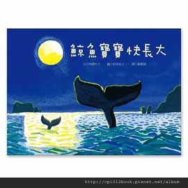 M18567446_big M18567446_big