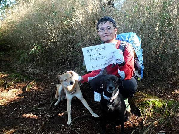 11220806_872379859517321_8690255588419318731_n 11220806_872379859517321_8690255588419318731_n