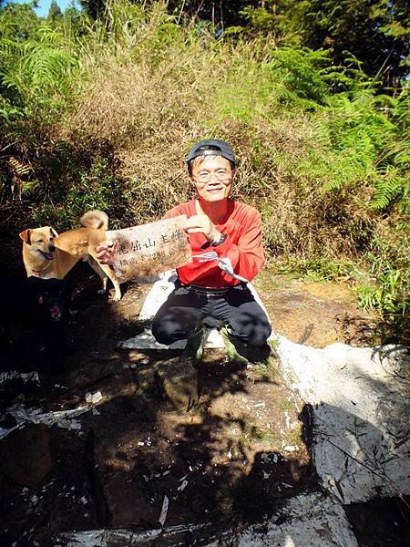 11822375_872383036183670_5288873614993268045_n 11822375_872383036183670_5288873614993268045_n