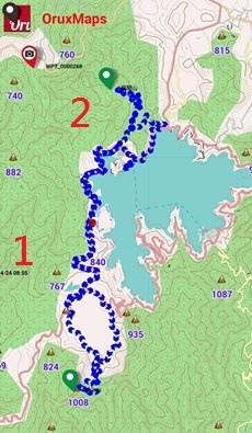 T12 T12