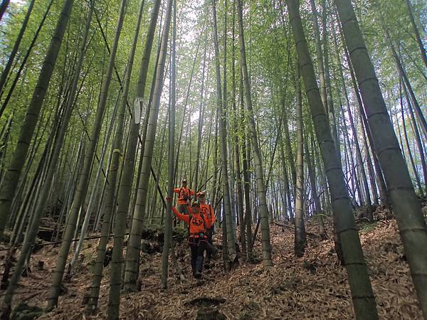 P6244523.JPG P6244523.JPG