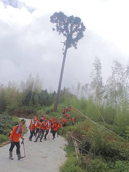 P6244535.JPG P6244535.JPG