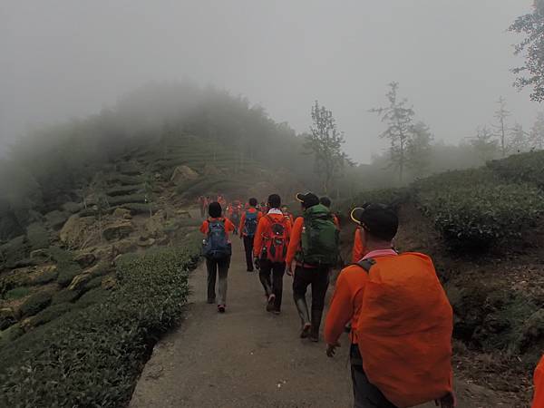 P6244542.JPG P6244542.JPG