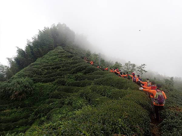 P6244558.JPG P6244558.JPG