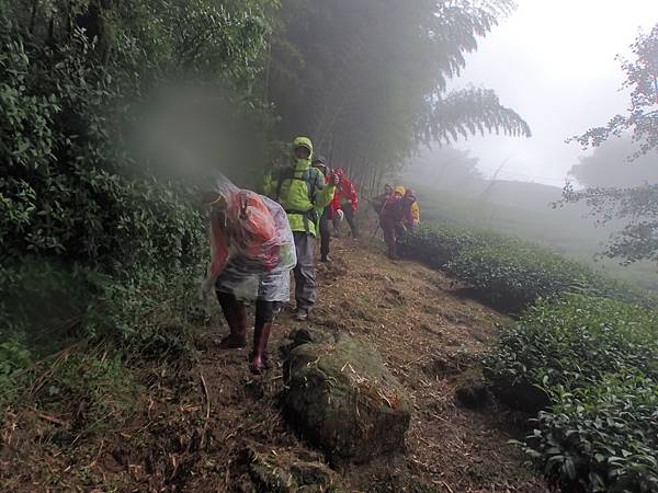 P6244585.JPG P6244585.JPG