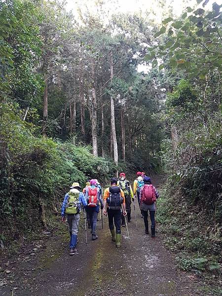 2020216石南山走京大山O型走_200218_0081.jpg 2020216石南山走京大山O型走_200218_0081.jpg