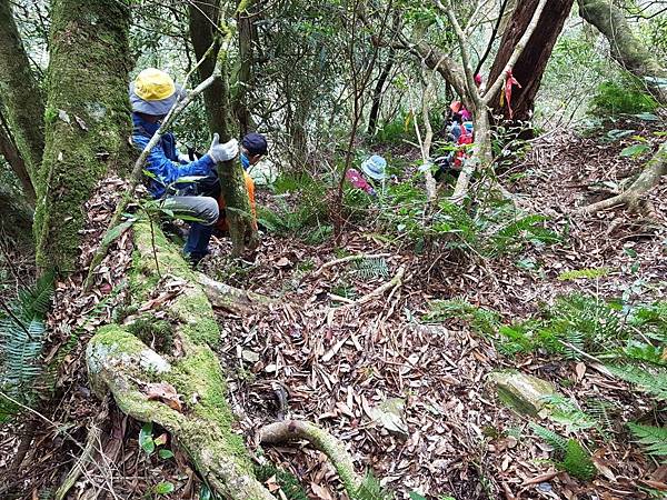 2020216石南山走京大山O型走_200218_0079.jpg 2020216石南山走京大山O型走_200218_0079.jpg
