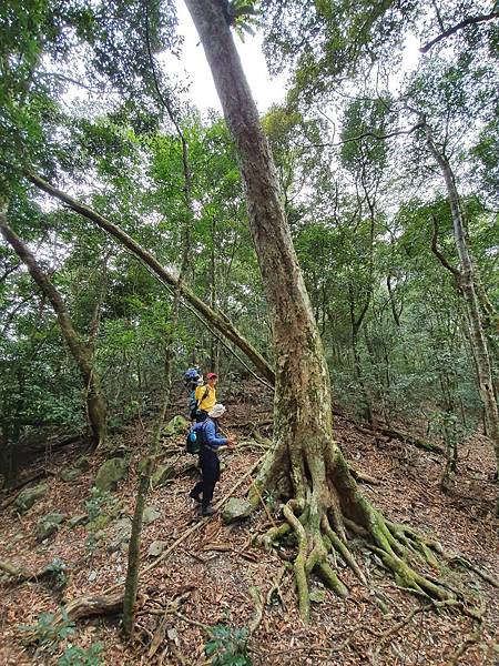 2020216石南山走京大山O型走_200218_0094.jpg 2020216石南山走京大山O型走_200218_0094.jpg