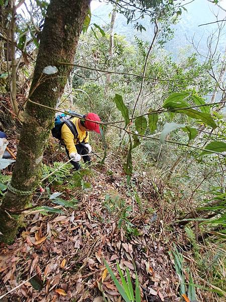 2020216石南山走京大山O型走_200218_0095.jpg 2020216石南山走京大山O型走_200218_0095.jpg