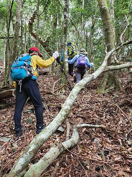 2020216石南山走京大山O型走_200218_0103.jpg 2020216石南山走京大山O型走_200218_0103.jpg