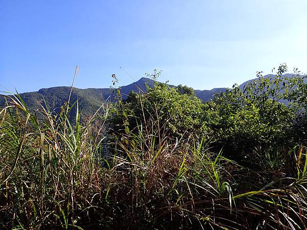 P2165579.JPG P2165579.JPG