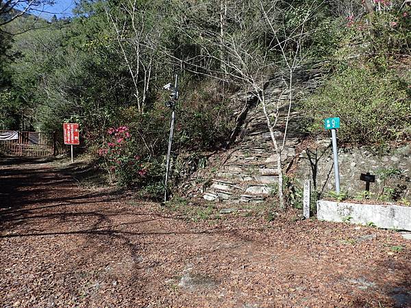 P2165582.JPG P2165582.JPG