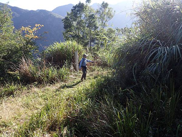 P2165578.JPG P2165578.JPG