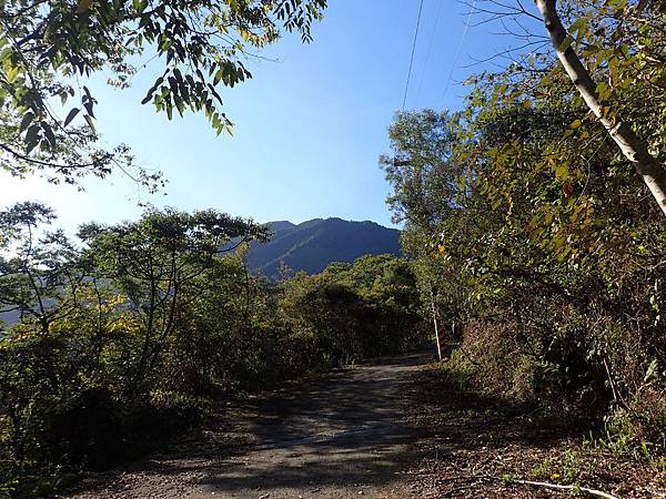 P2165580.JPG P2165580.JPG