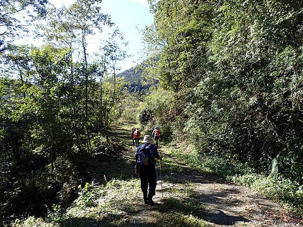 P2165585.JPG P2165585.JPG