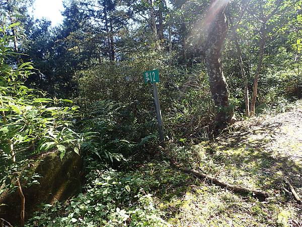 P2165589.JPG P2165589.JPG