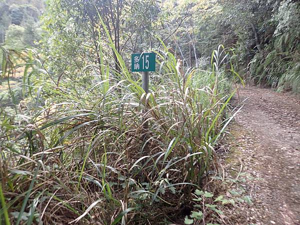 P2165596.JPG P2165596.JPG