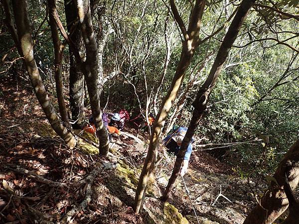 P2165601.JPG P2165601.JPG