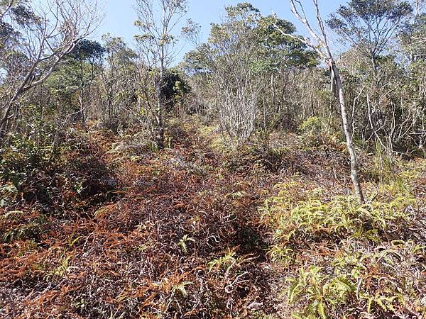 P2165603.JPG P2165603.JPG