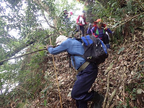 P2165608.JPG P2165608.JPG