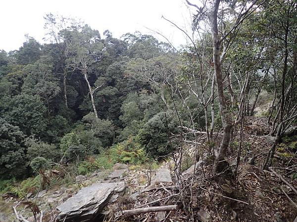 P2165610.JPG P2165610.JPG