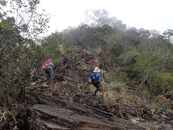 P2165619.JPG P2165619.JPG