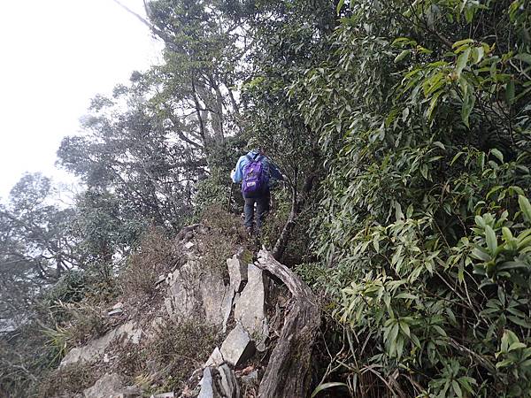 P2165611.JPG P2165611.JPG