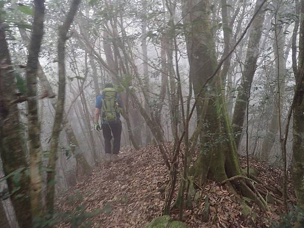 P2165625.JPG P2165625.JPG