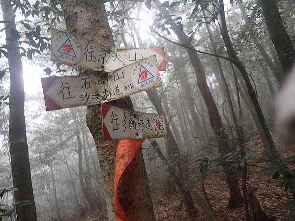 P2165627.JPG P2165627.JPG