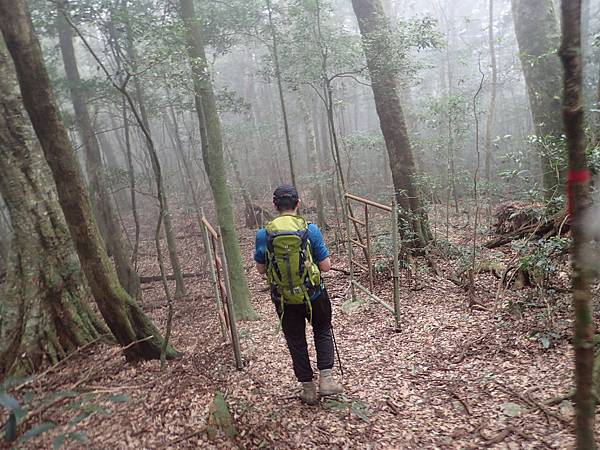 P2165628.JPG P2165628.JPG