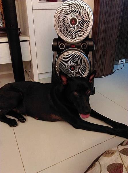 20430146_1644952538848420_4440186070586410606_n 20430146_1644952538848420_4440186070586410606_n