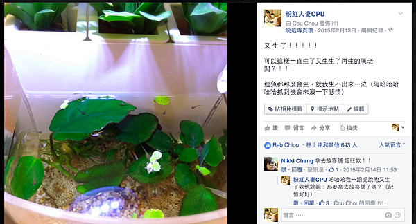 螢幕截圖 2016-05-11 00.15.04 螢幕截圖 2016-05-11 00.15.04