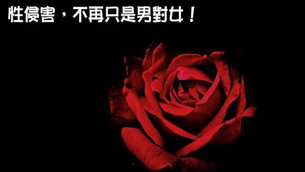 18034045_1700716939939288_285329460475846028_n.jpg 18034045_1700716939939288_285329460475846028_n.jpg