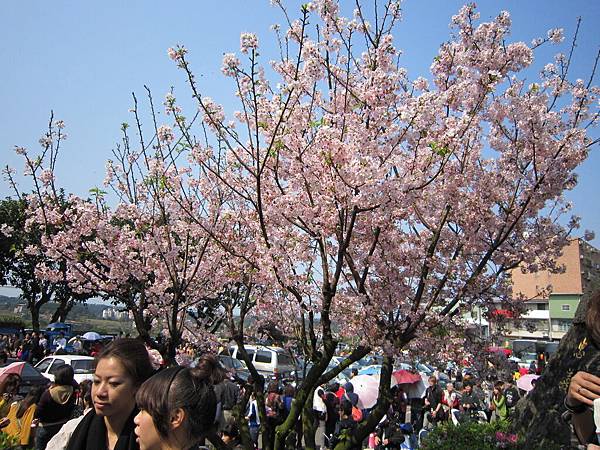 IMG_1834_調整大小.jpg