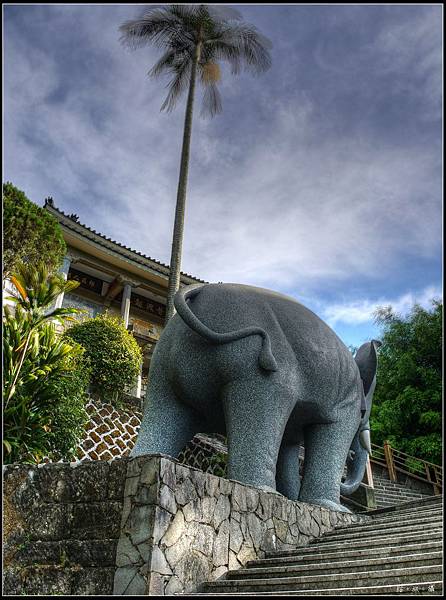 圓通寺大象屁