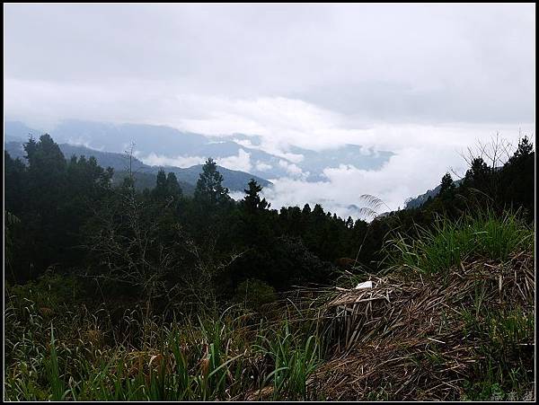 100216嘉南三日-阿里山